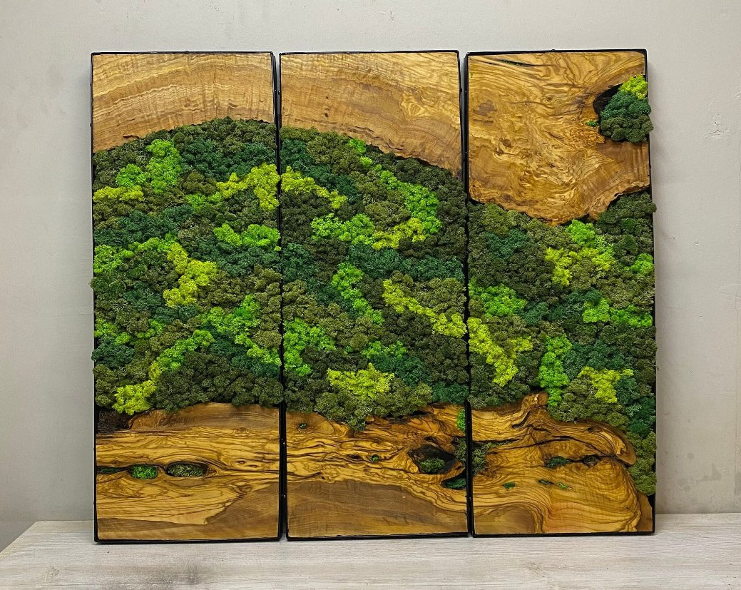 Moss Olive Wall Decor, Moss Wall Art, Moss Wall Sets, Preserved Moss Art Framed, Personalized Gifts, Moss No Maintenance Required Moss