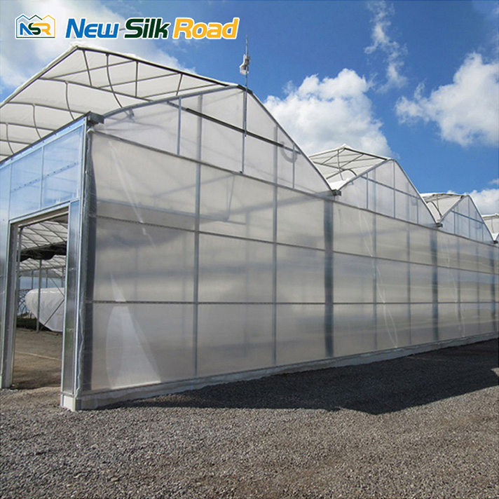 Gothic Film Tropical Greenhouses Hydroponic Growing Greenhouses for Tomato