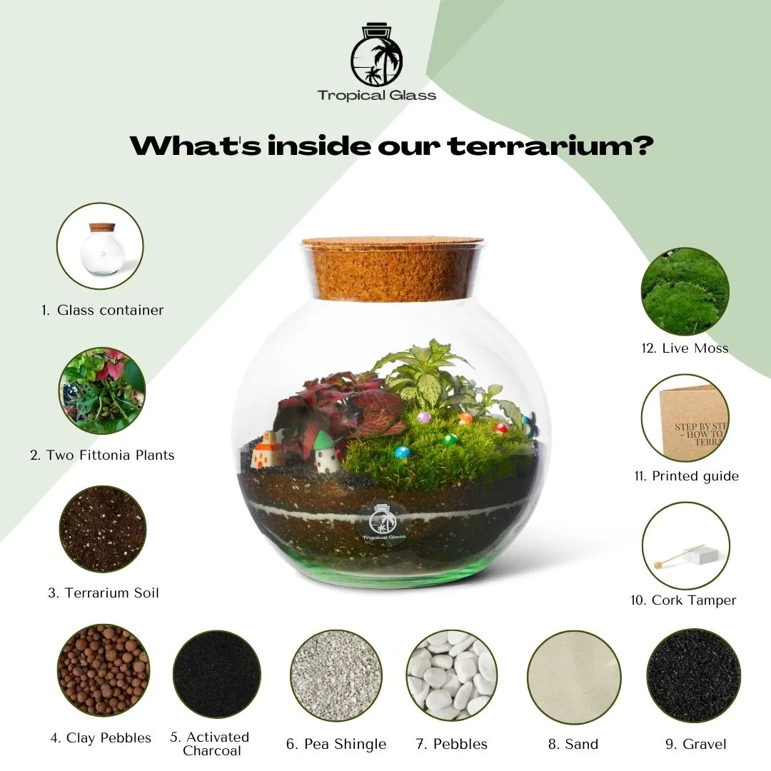 Closed DIY Terrarium Kit H: 18 Cm 'oxford'