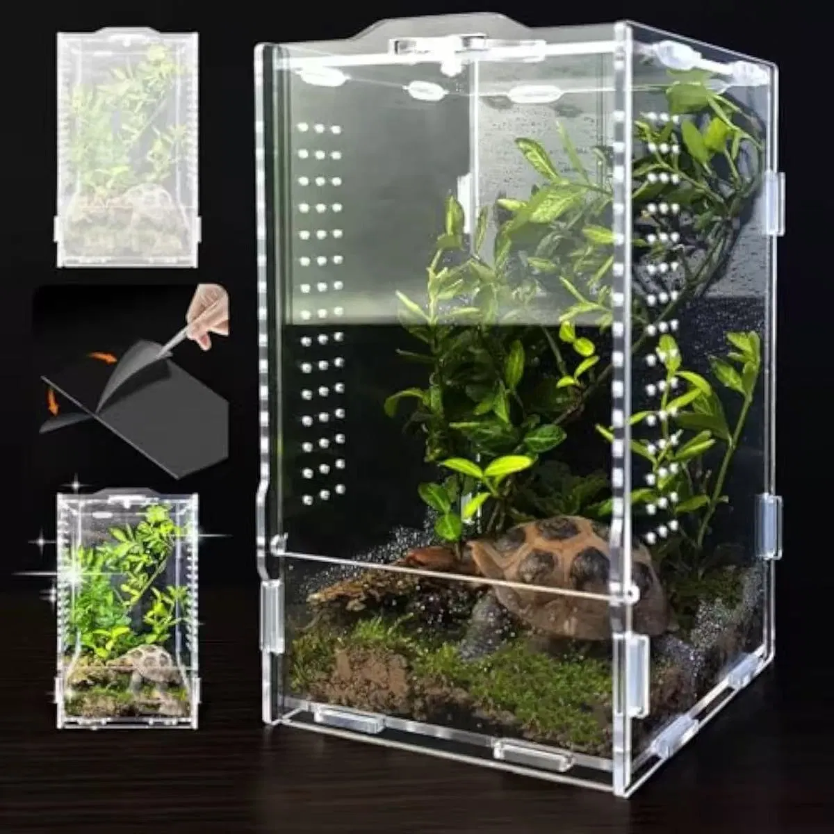 Wholesale ODM Acrylic Reptile Tank Magnetic Reptile Enclosure Breeding Box Terrarium Cage for Frog Spider Insect