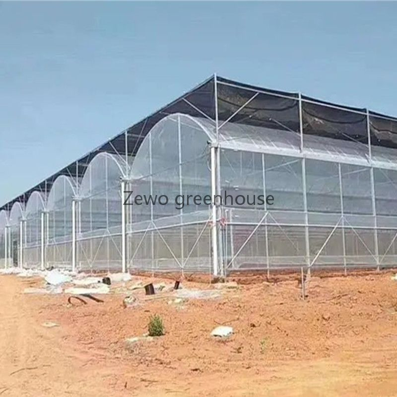Sawtooth Vegetable and Flower Greenhouses with Warm Agro Technology