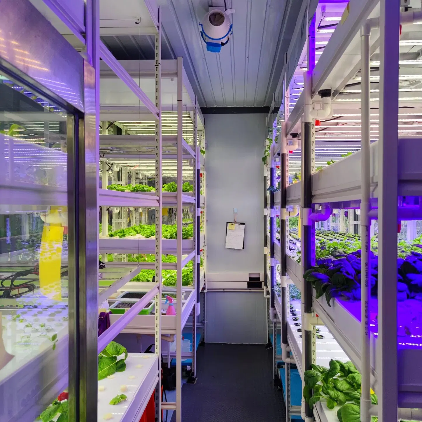 Agg Smart Auto Control Indoor Growing Hydroponic Shipping Container Farm Greenhouse System Small Vertical Hydroponic Container