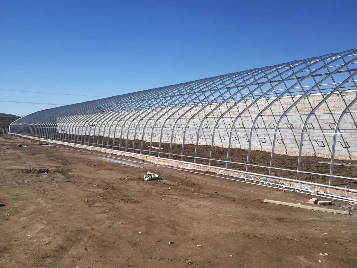 Greenhouse Mutispan Auto Control Light Deprivation Green House for Medicine Herb