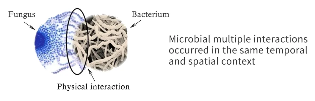 Bio Extra Interaction