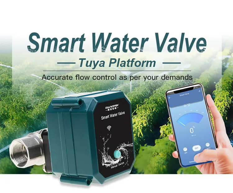 Smart Water Valve Controller