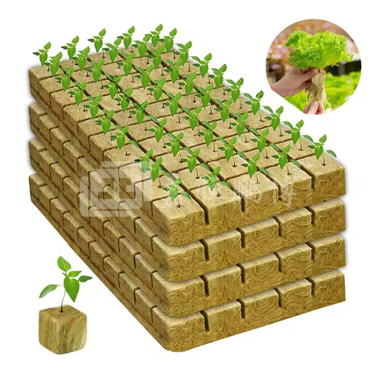 Modern Design Greenhouse Hydroponic Vegetable Planting Rock Wool Cubes Heat Insulation Materials for Soilless Cultivation