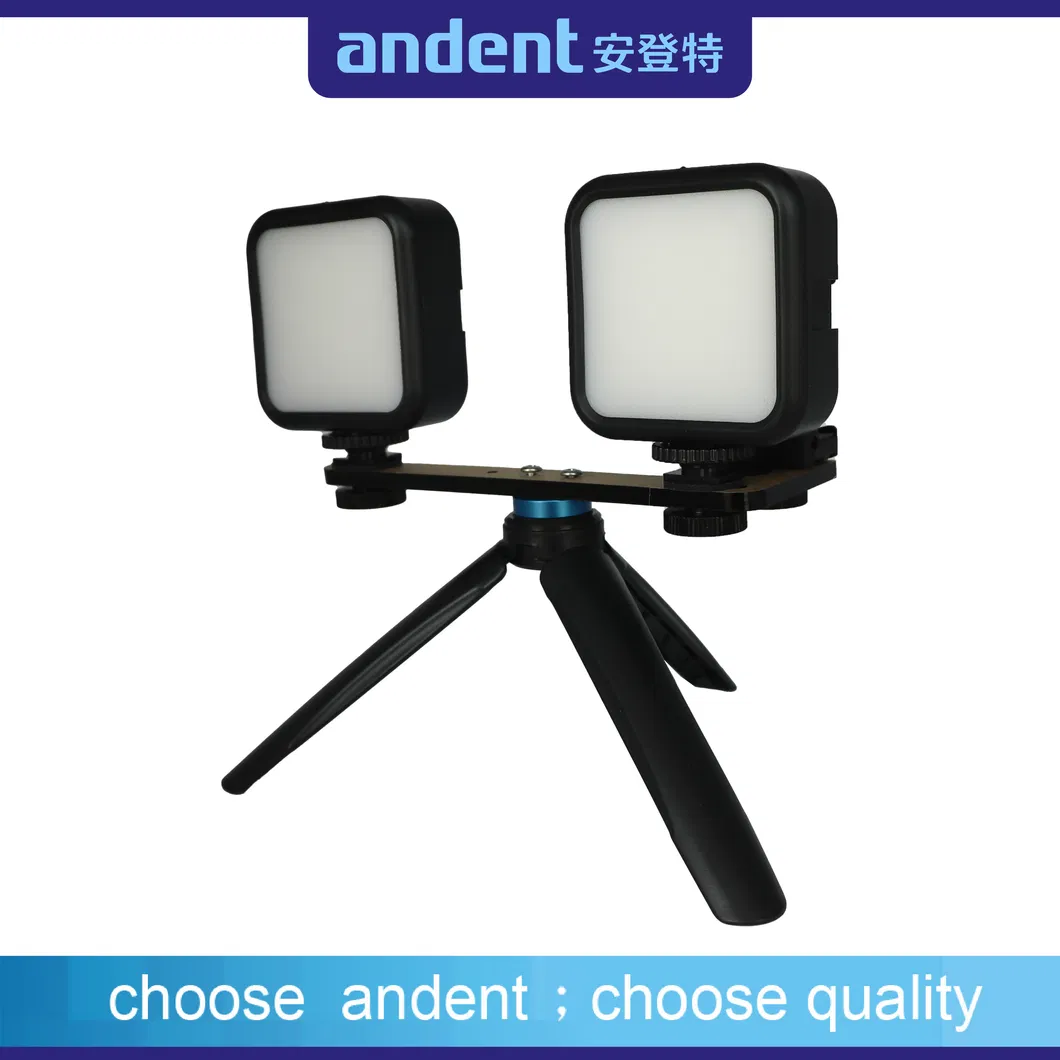 Dental Photography 9