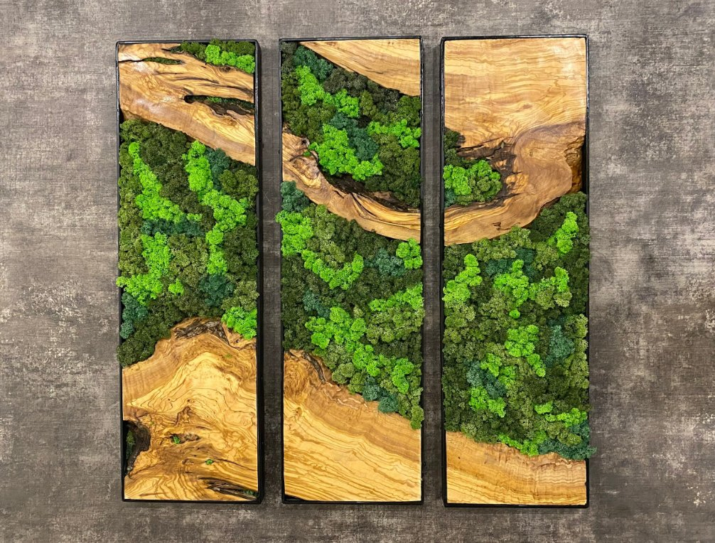 Moss Wall Decor Moss Wall Art Gift for Mom Interior Designer Gift for Husband Minimalist Decor Wall Sets Preserved Moss Art Framed