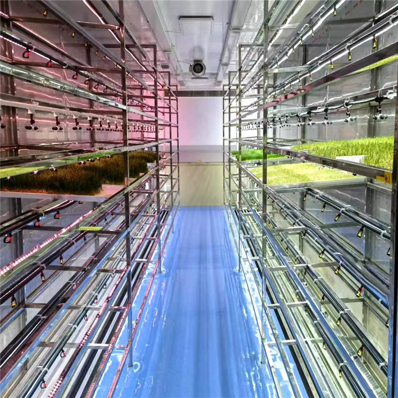 Wheat Grass Planting Container Farm Hydroponics