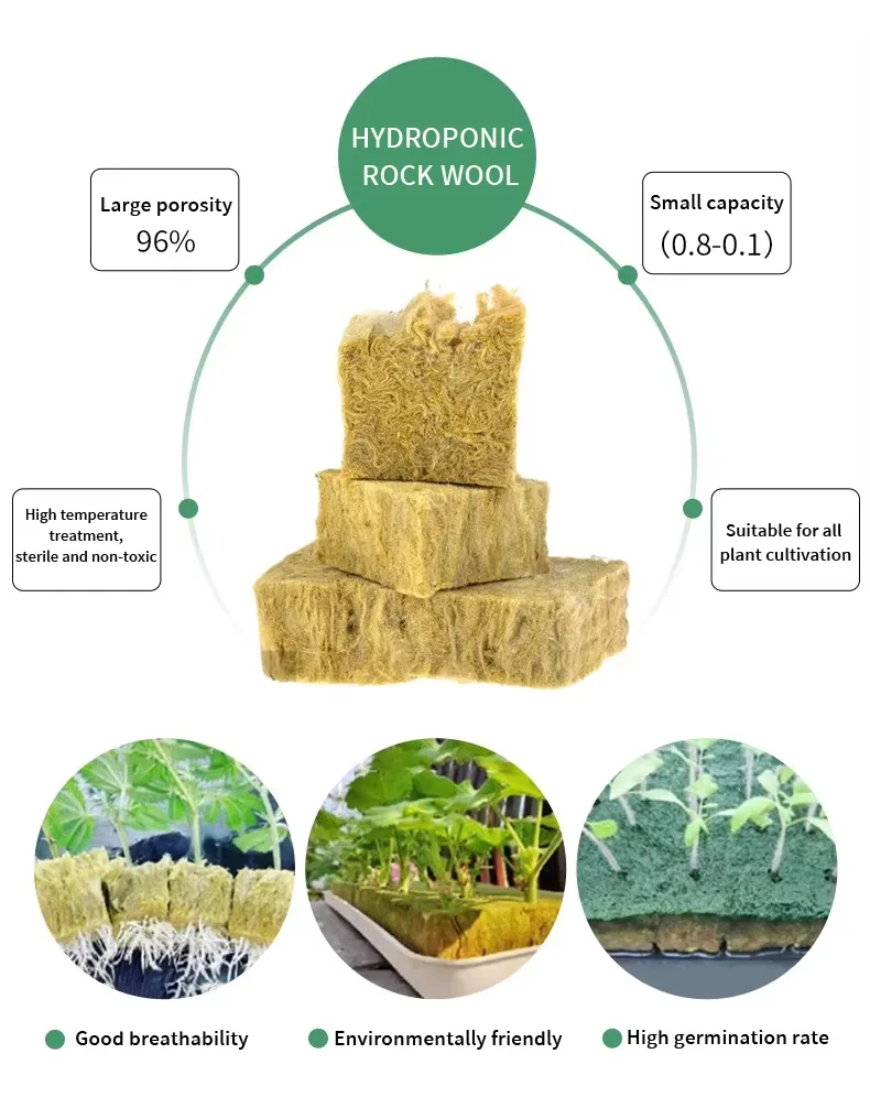Soilless Cultivation