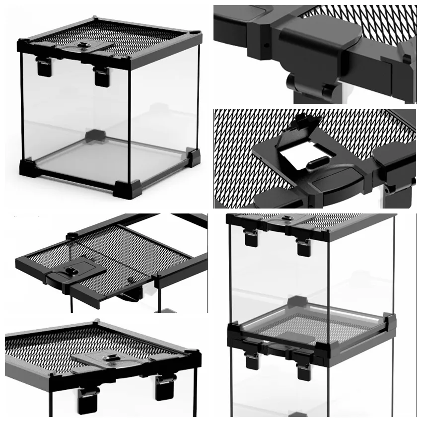 Terrarium Detail View 1