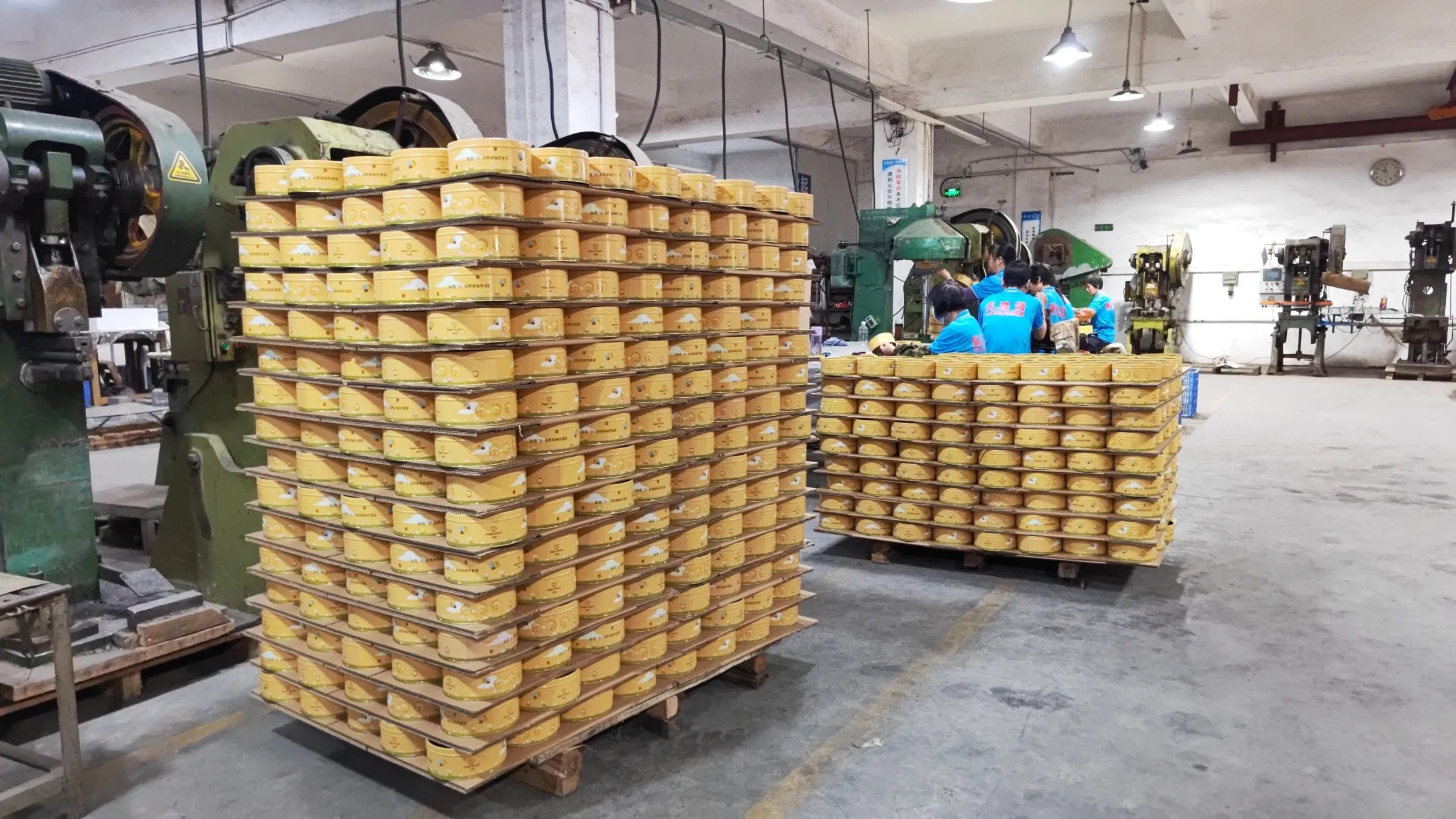 Wholesale Rectangular Tinplate Boxes for Safe Pet Packaging