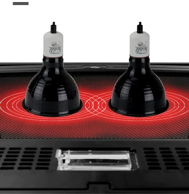 Reptile Glass Enclosure