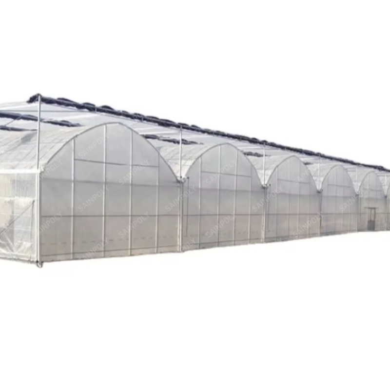 Modern High-Performance Irrigation&Hydroponics Equipment Multi Span Film Greenhouse