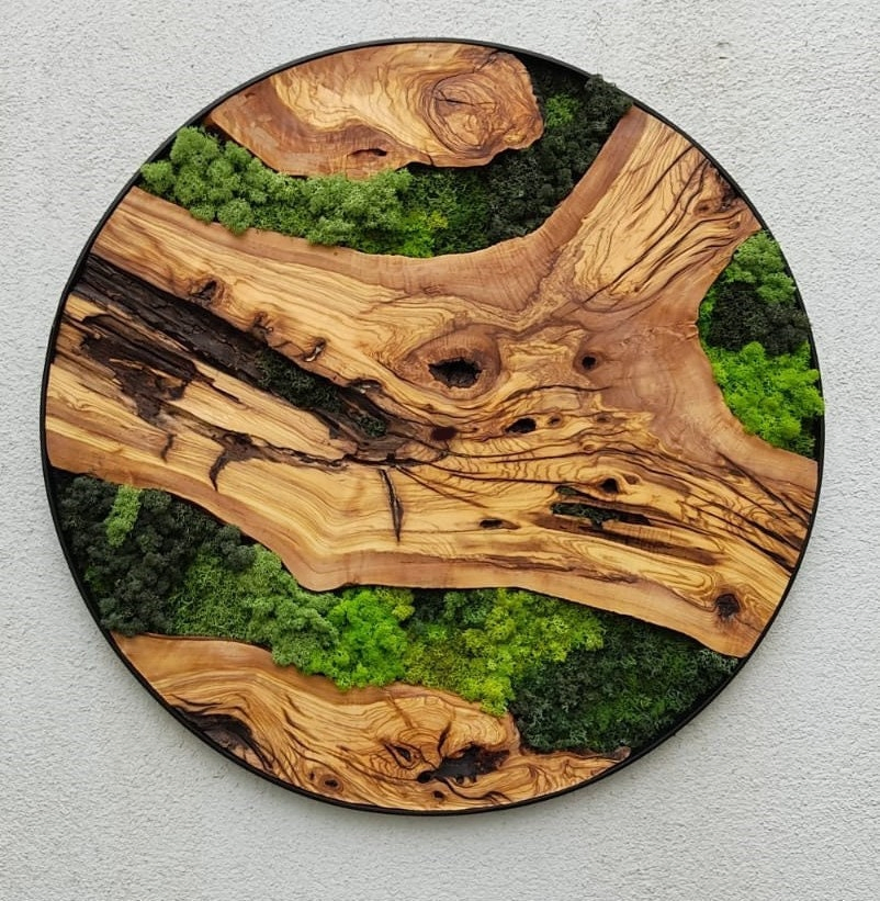 Custom Made Moss and Olive Wood Wall Art, Handmade Gift, Preserved Moss Art, Living Wall, Wall Decor, Wood Wall Art