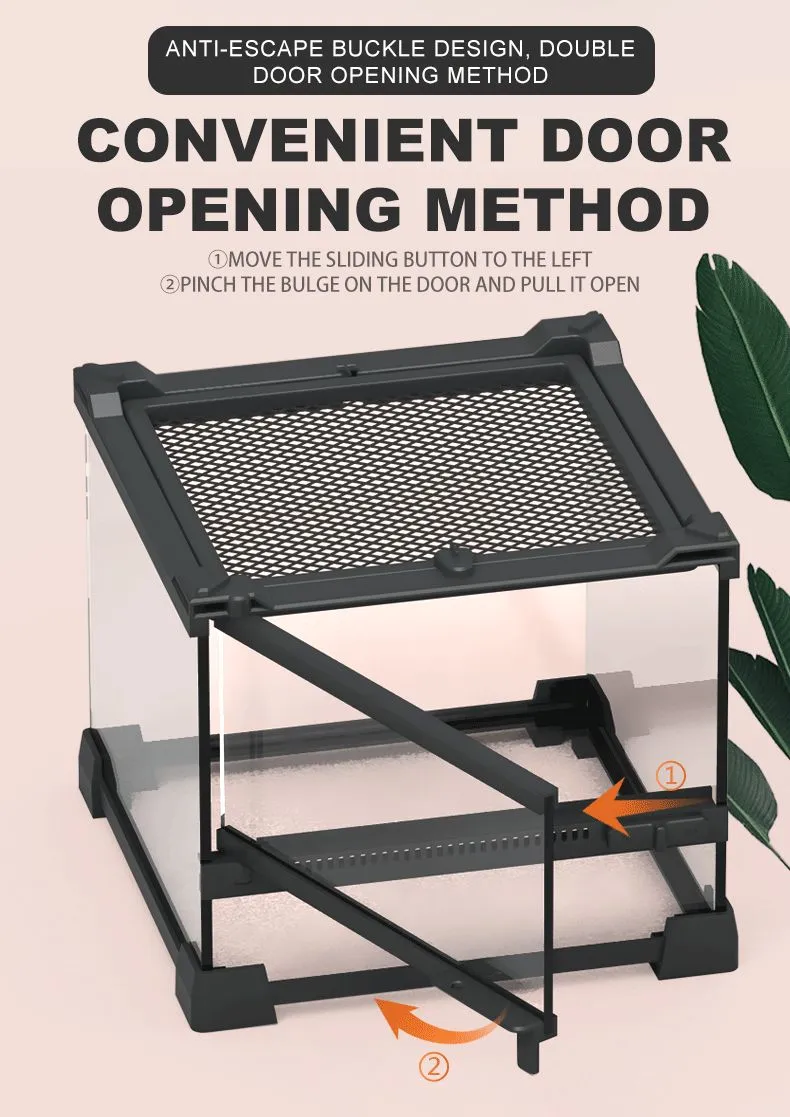 Glass Terrarium Details 4