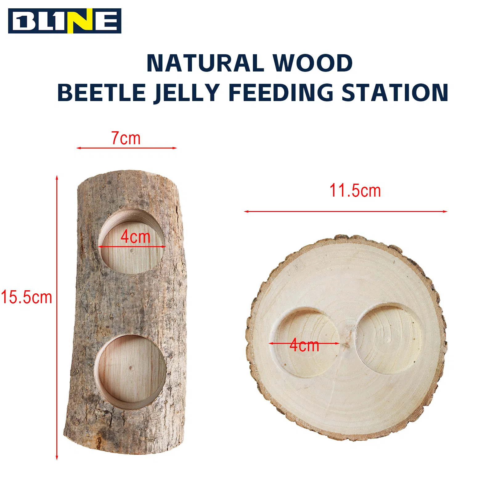 Natural Beetle Breeding Wood Safe for Terrarium Habitat Decoration