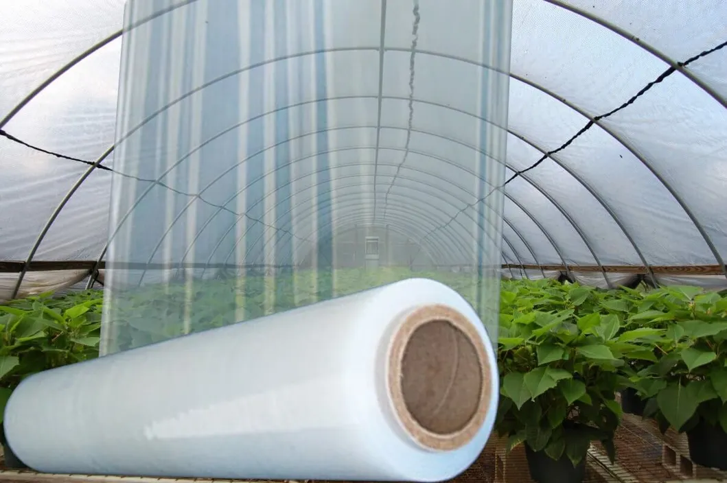 Greenhouse Covering