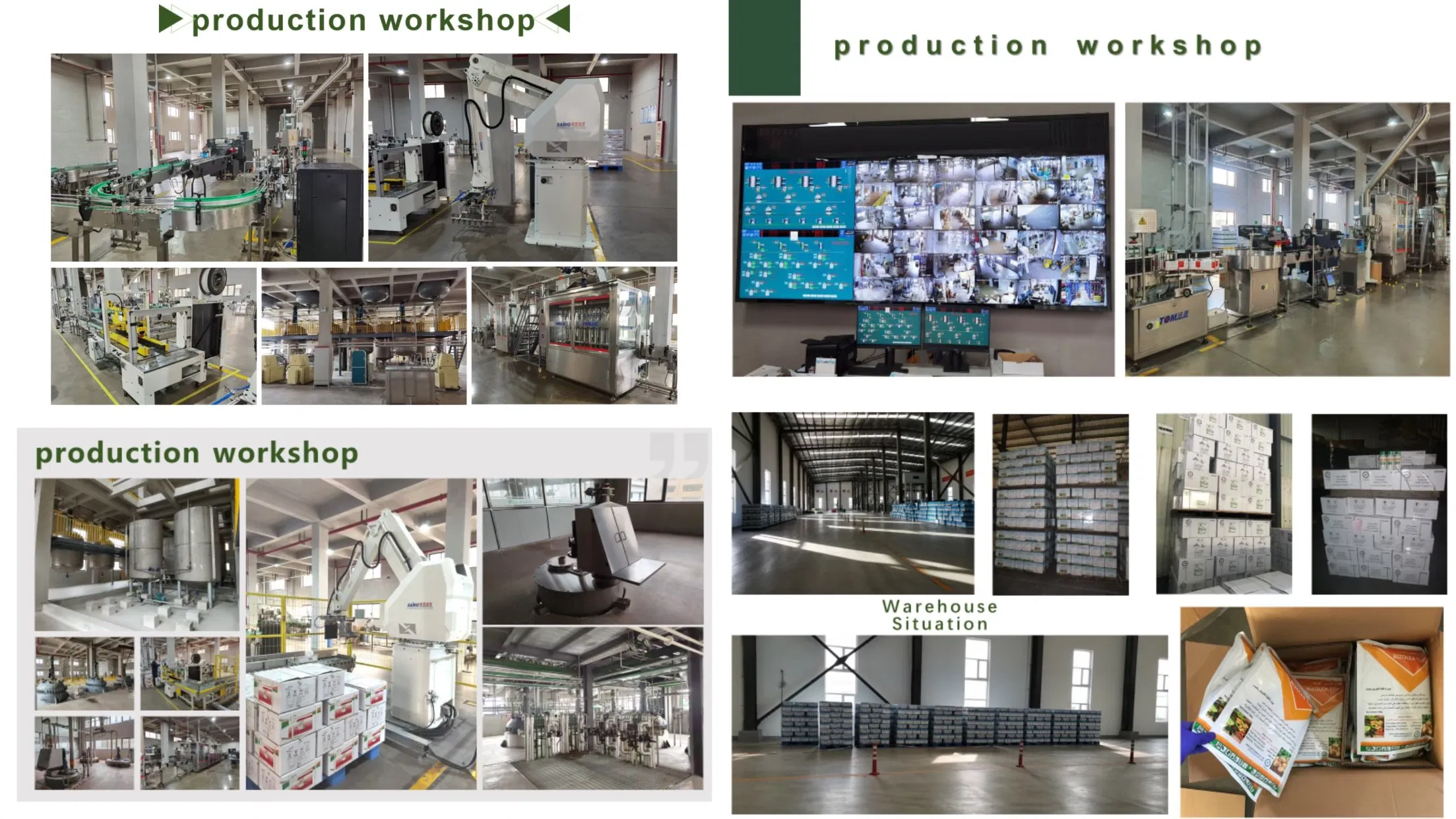 Fast-Acting Plant Biostimulant: Bio Extra Brassinolide + Organic Acids | 24H Absorption, 10-15 Day Interval