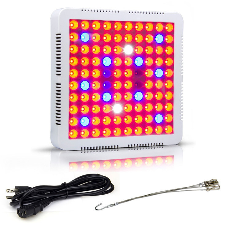 100W 200W 300W Full Spectrum Quantum LED Grow Light for Greenhouse Vegetable Growth