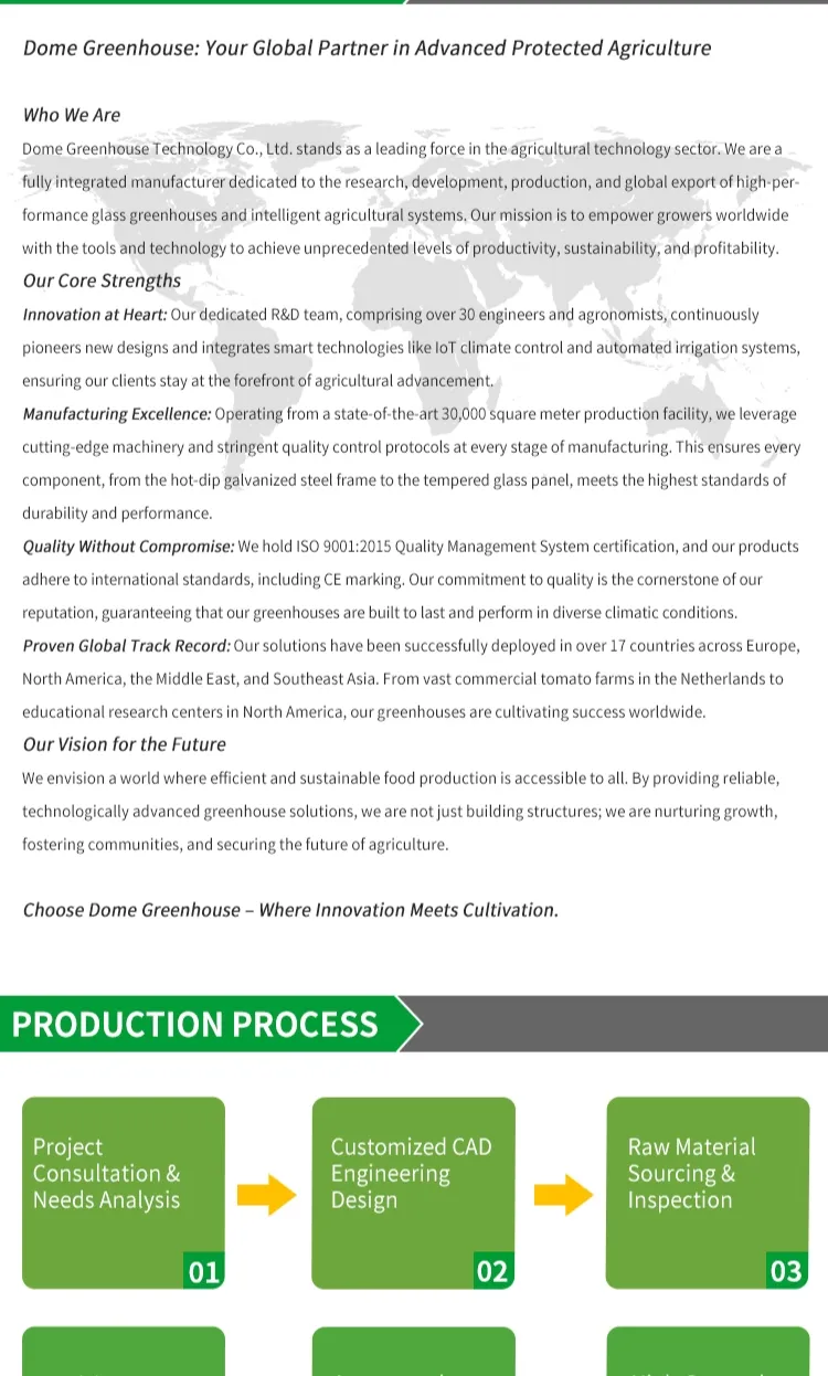 Multi-Span Plastic Greenhouse