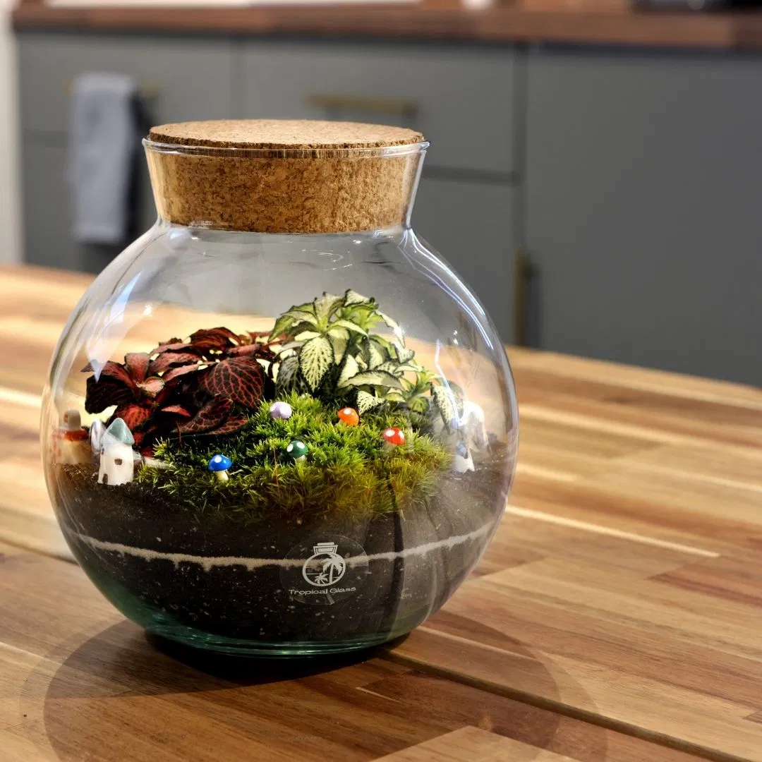 Closed DIY Terrarium Kit H: 18 Cm 'oxford'