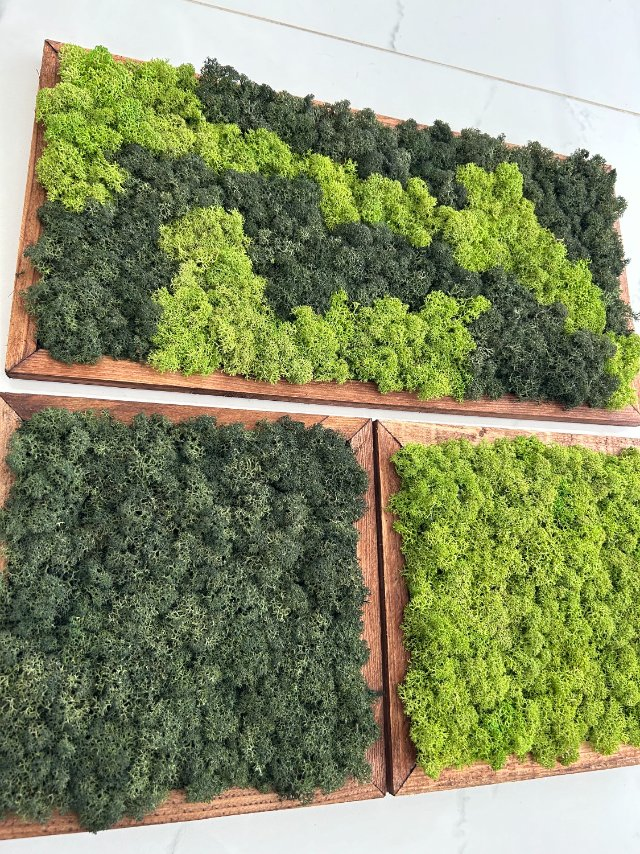 Moss Wall Art Moss Wall Decor Moss Wall Sets Made to Order Little Jungle