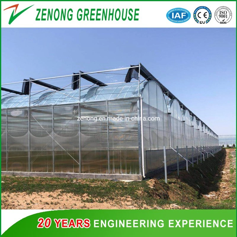 Venlo Tempered Glass Greenhouse with Hydroponics Growing System for Vegetables/ Flowers/ Tomato