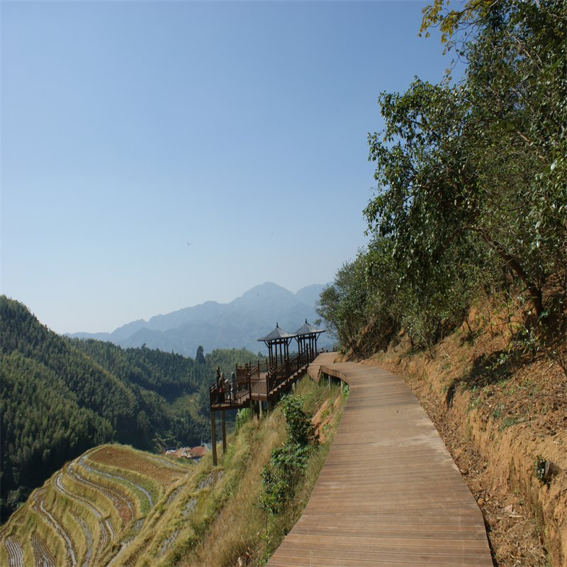 Rooftop Load-Bearing Bamboo Decking for Urban Garden and Lounge Spaces