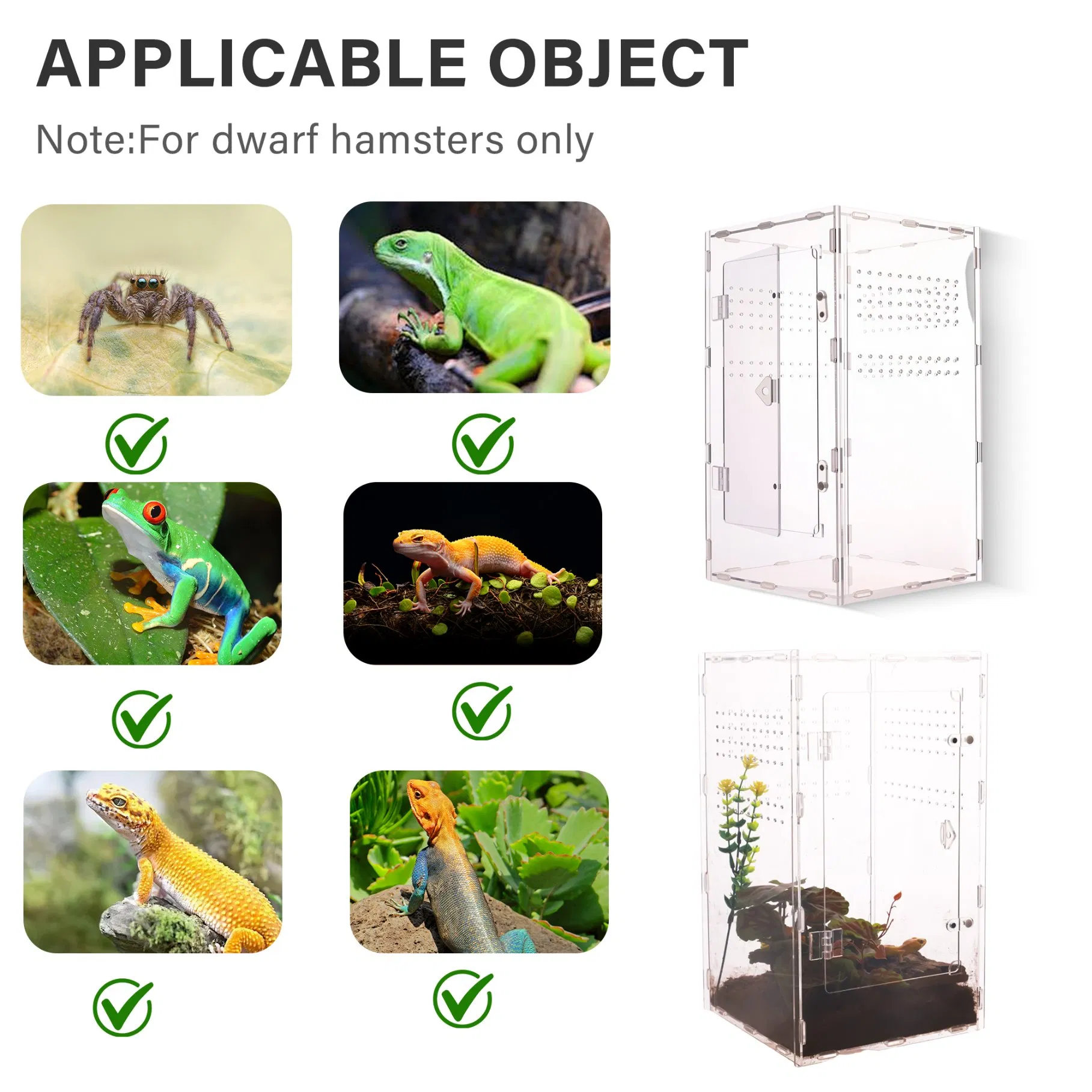 Wholesale ODM Acrylic Reptile Tank Magnetic Reptile Enclosure Breeding Box Terrarium Cage for Frog Spider Insect