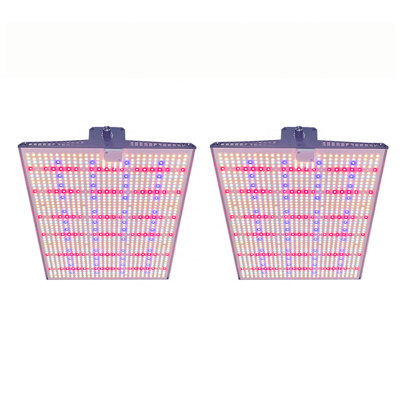 100W 200W 300W Full Spectrum Quantum LED Grow Light for Greenhouse Vegetable Growth