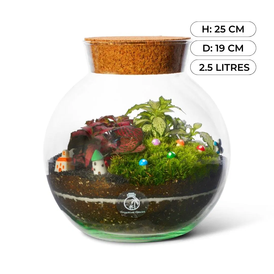 Closed DIY Terrarium Kit H: 18 Cm 'oxford'