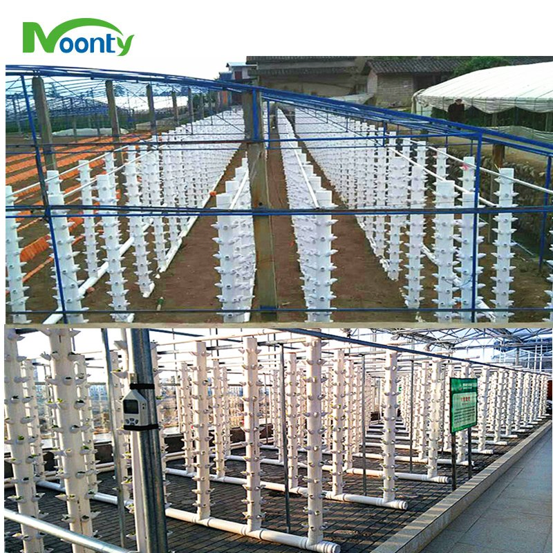 Rooftop Vertical Tower Grow for Microgreens/Lettuce/Butterhead/Sweet Basil Cultivation Urban Farming Hydroponics System
