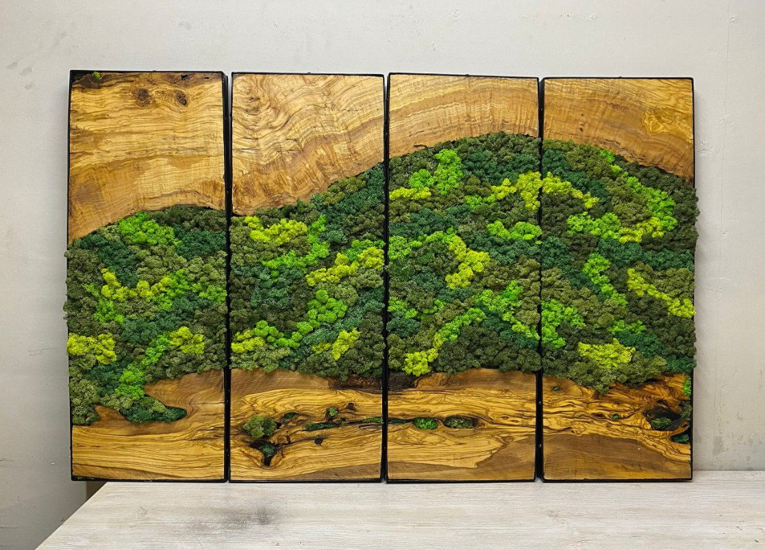 Moss Olive Wall Decor, Moss Wall Art, Moss Wall Sets, Preserved Moss Art Framed, Personalized Gifts, Moss No Maintenance Required Moss