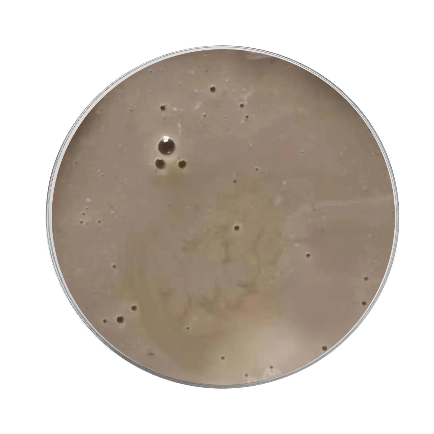 CULAR Organic Bio Water Soluble Fertilizer for Citrus Yellow Shoot Disease