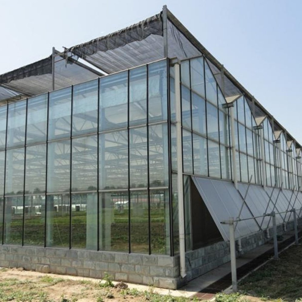 Premium Factory Glass Greenhouse for Hydroponics and Crop Growth