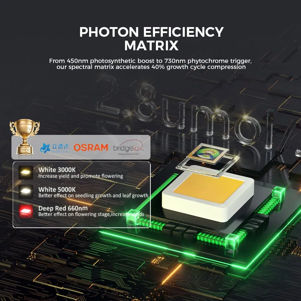 CE Certified 800W LED Grow Light IP65 Waterproof 3.3 Umol/J High Efficacy for EU Vertical Farming &amp; Hydroponics Energy Saving Commercial Full Spectrum Light