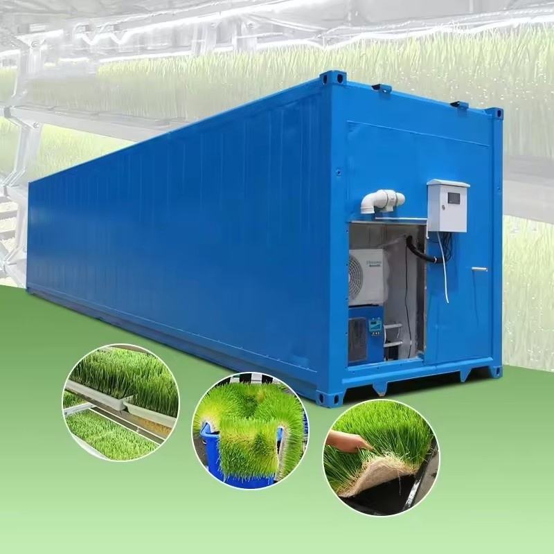 Wheat Grass Planting Container Farm Hydroponics