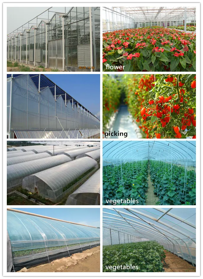 Other Greenhouse Type 3