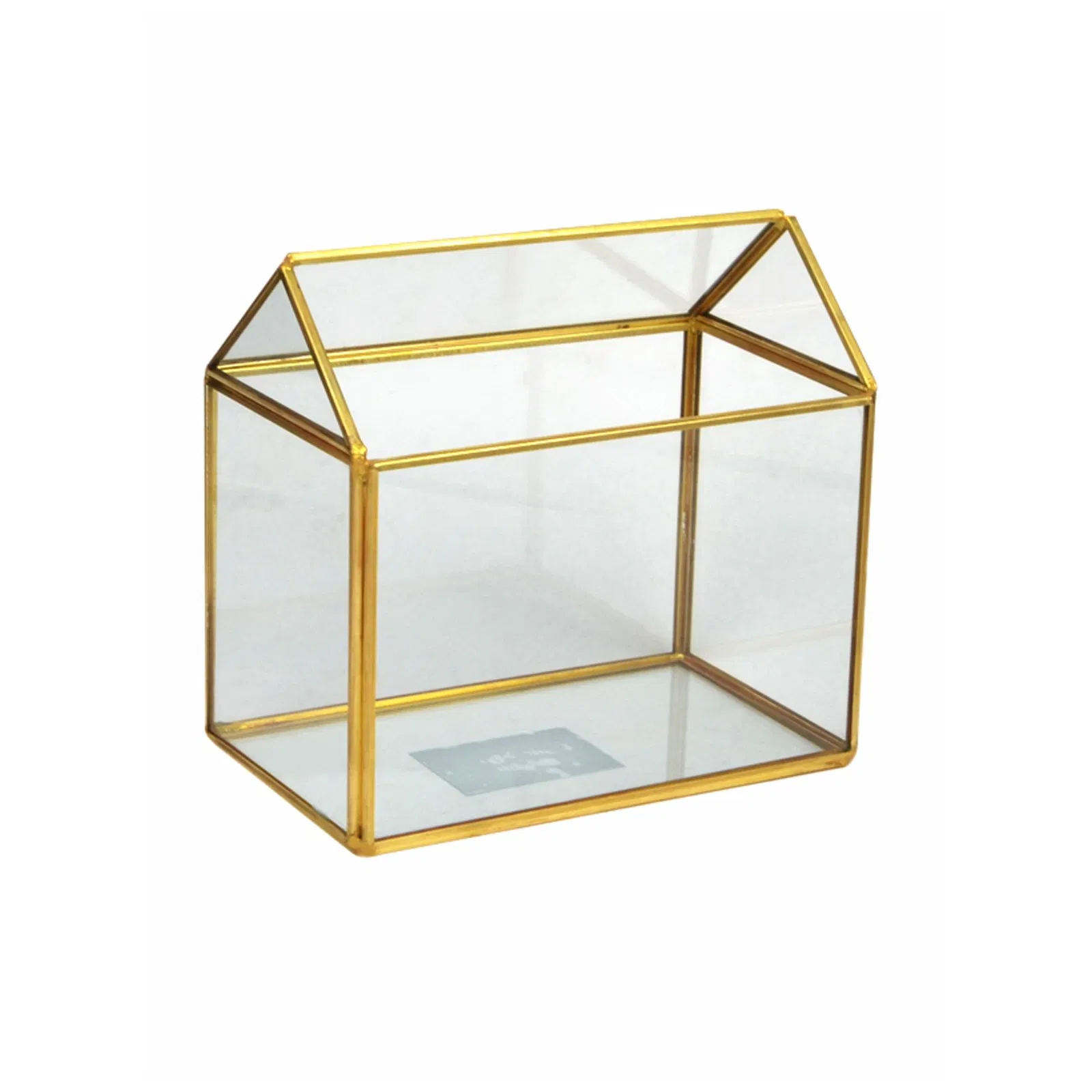 Artistic Indoor Clear Glass Plant Terrarium for Home Decor