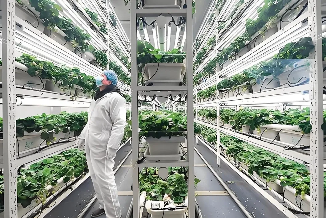 NFT Container Farm
