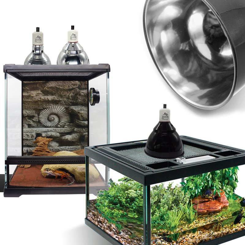 Mclanzoo Premium Reptile Glass Terrarium for All Species