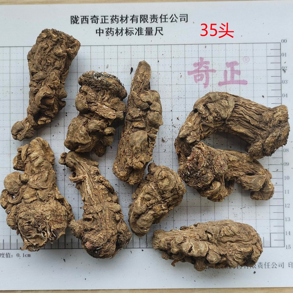 Hot Herbs Wholesale Chinese Herbs Medicinal Herbs Angelica Sinensis Chinese Herbs