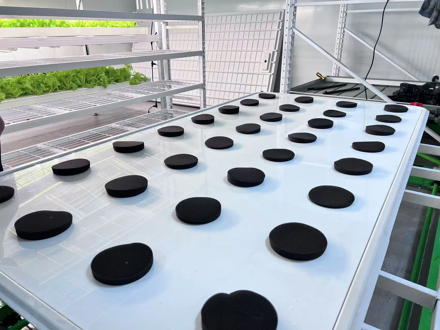Aeroponic Cultivation System with pH/Ec Monitoring - Ideal for Medicinal Herb Nurseries