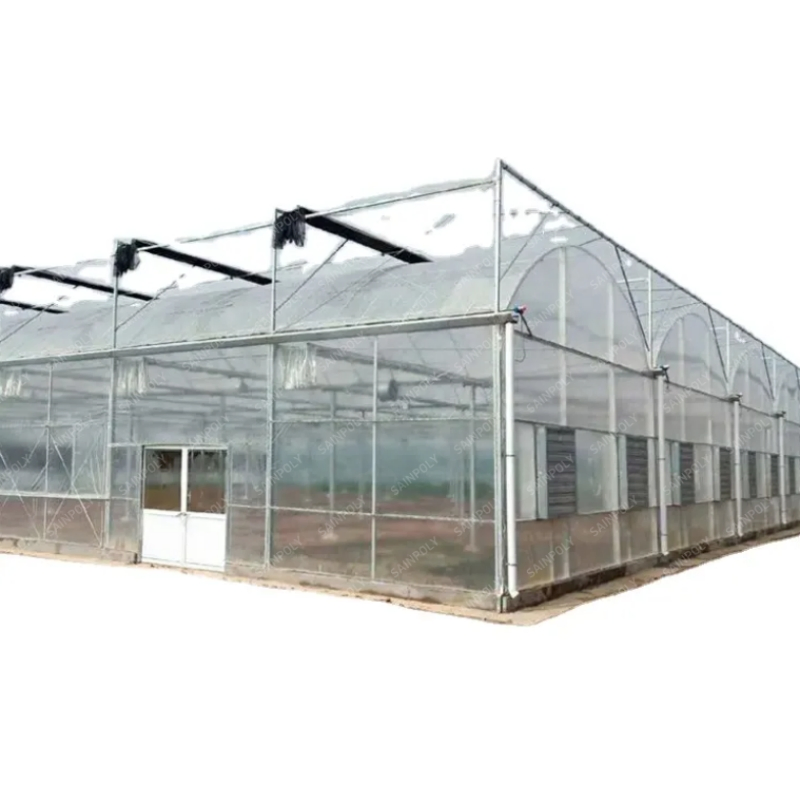 Modern High-Performance Irrigation&Hydroponics Equipment Multi Span Film Greenhouse