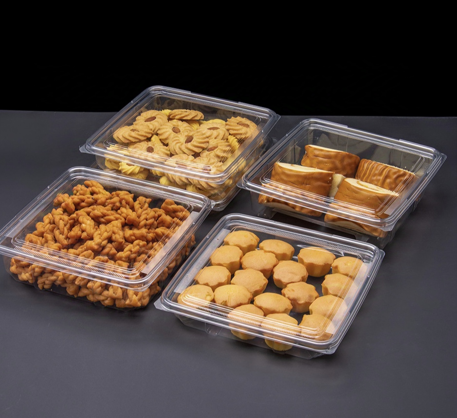 Food Safe Eco-Friendly Rectangle Customized Pet Plastic Cake Box