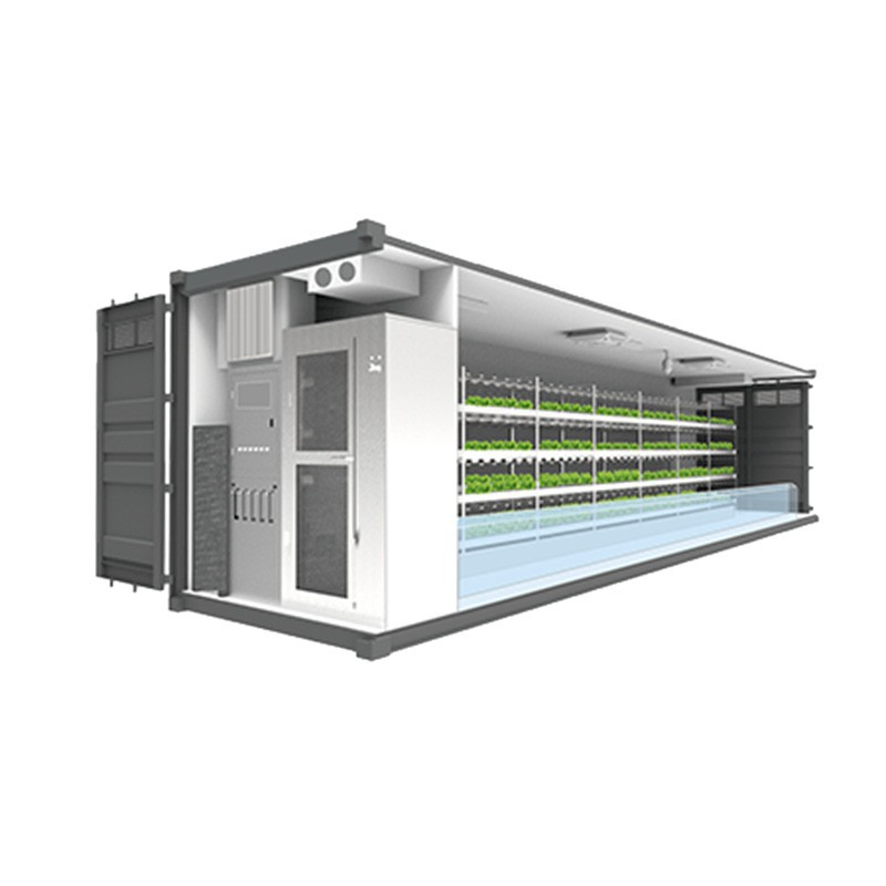 Agg Smart Auto Control Indoor Growing Hydroponic Shipping Container Farm Greenhouse System Small Vertical Hydroponic Container