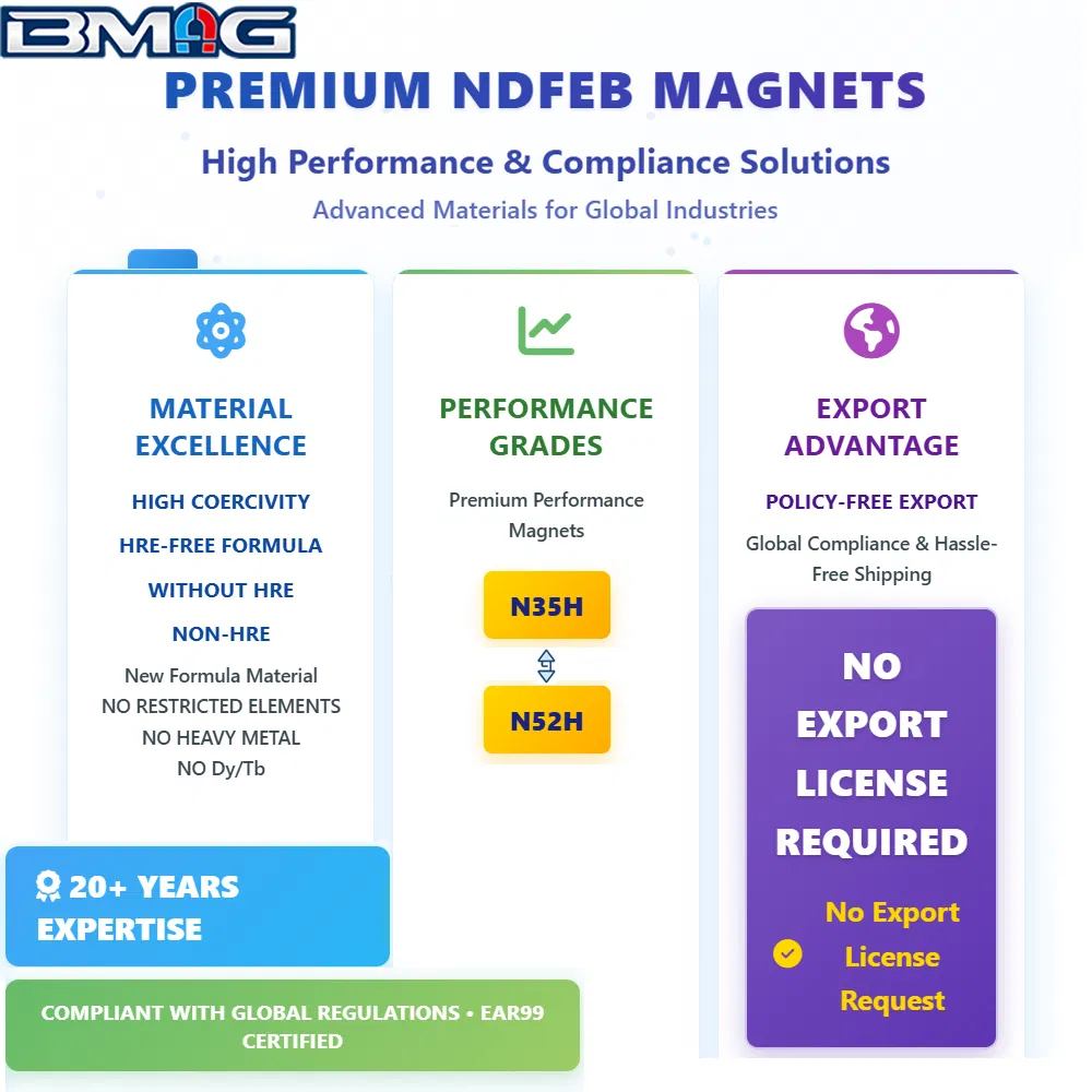 Free Samples Industrial Magnetic Materials Rare Earth Magnets Disc N52 No Restricted Elements Neodymium Magnets