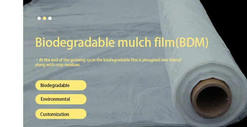 Agricultural Mulch Film Application