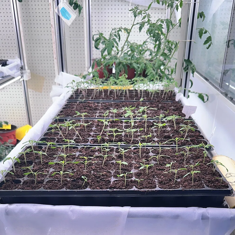 Original Manufacturer Low Cost Smart Growing Hydroponic Container Farm Agricultural Greenhouse Smart Farm Vegetable Container Greenhouse